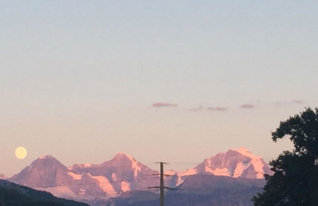 Ferienhaus Oase am Mühlebach - Foto 20