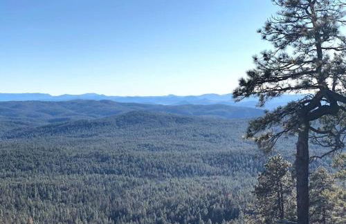 Forest Cabin 7 Seventh Heaven - Foto 7