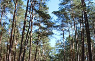 Apartament Mariva B106 z balkonem - Pobierowo - przy samym morzu - obiekt Euronia - Foto 30