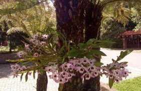 Casa Gramado Família - Foto 18