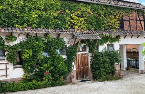 Kleine Wohnung auf dem Land - Photo 1