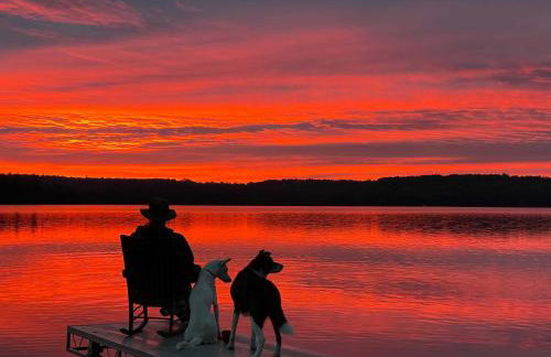 Hammock Haven Island Dome - Foto 49