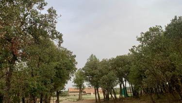 Masia La Casablanca - Foto 2