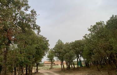 Masia La Casablanca - Foto 2