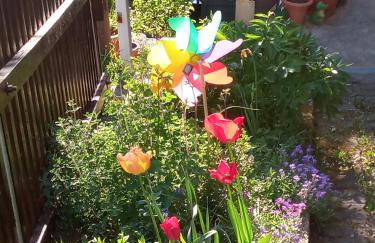 Ferienwohnung zum Sebnitzer Hirsch - Photo 38