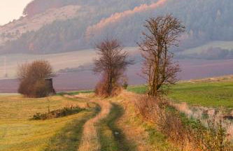 Qi Gong Haus - Foto 38