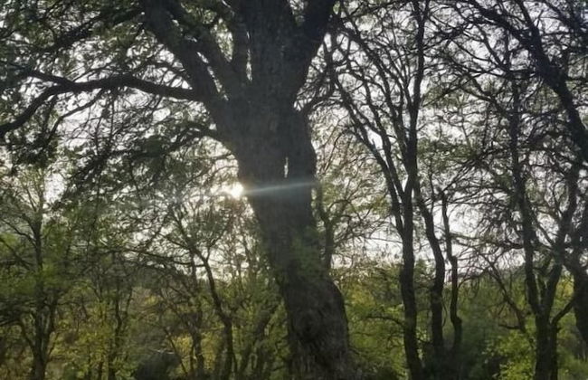 St Anna's House - Foto 36