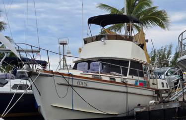 43' Classic Trawler 5 Star Resort Pools, Views, Dining Free Shuttle to Downtown - Photo 1