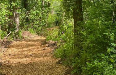 Murphys Law Inn 5 - Foto 23