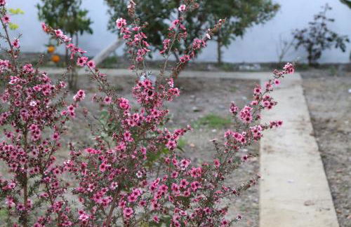 Cantinho da Cacilda - Foto 4