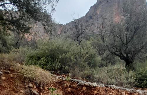 George house - Photo 23