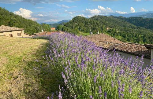 Ca' Nobili - Charming Country House - Foto 29