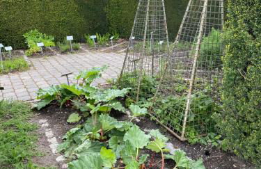 Appartementhof Stadler - Foto 51