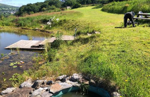Rabbits ,1 bedroom, Dartmoor Hillside, Eco Hobbit style, Home - Foto 42