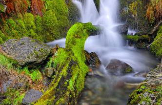 Casa Rural El Corralino - Foto 12