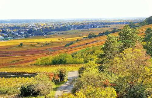 La Maison de l'Ecu : charme et vue incroyable - Foto 16