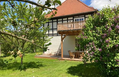 Forsthaus in Waldhessen - Foto 43