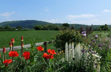 Country Cottage with Far Reaching Views - Foto 9