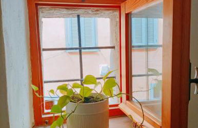 Vien mequé - Photo 15