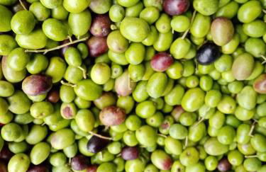 Appartamento Il Salice - Foto 18