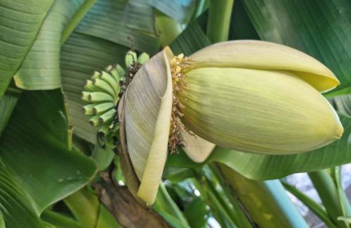 Apartmenthaus Wertheim - Foto 20