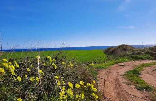 Fata Morgana - Foto 28