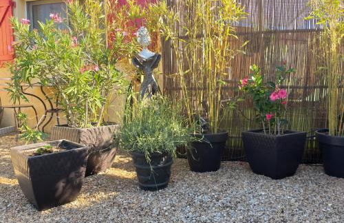 Lou Bagnou Mi-Clos - Foto 10