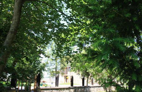 Loft y Apartamento Durango - Foto 66