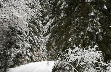 Landhaus Sommerberg - Foto 42