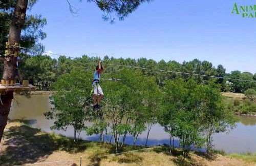 Maison des fleurs d'Ajoncs - Photo 17