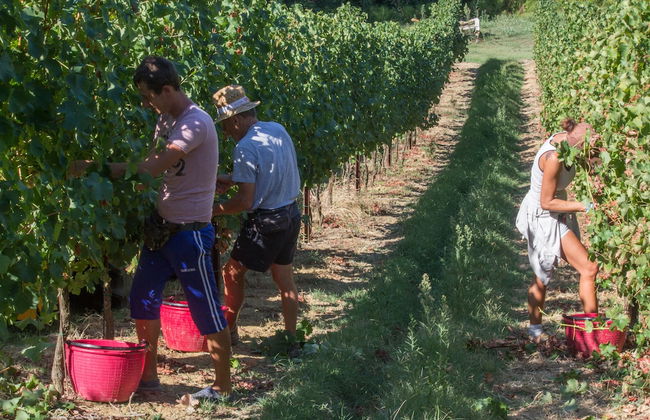 Trere Agriturismo - Photo 69