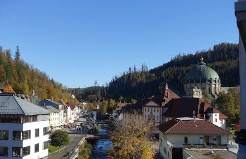 Auszeit im schönen Hochschwarzwald - Foto 40