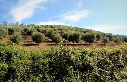 La Quercia Suites - La Torretta - Foto 44