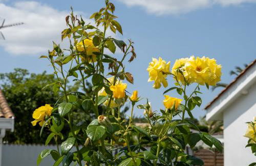 LA CASA DE BABOU - Foto 4