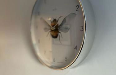 Spacious and Stylish Flat in Trowbridge, Wiltshire - Photo 18