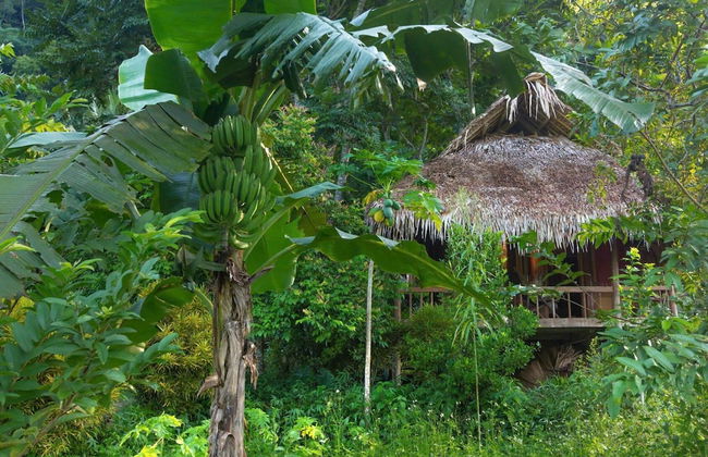 Thai House Pu Luong - Foto 46