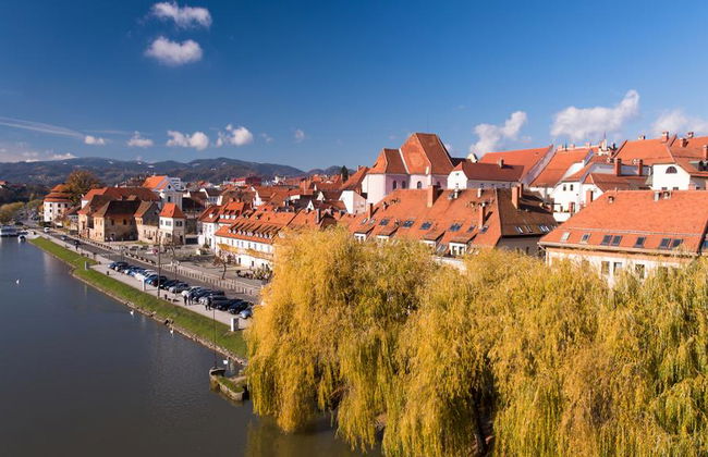 Ptuj e Maribor City con degustazione di vini facoltativa - Tour di un'intera giornata - Foto 1