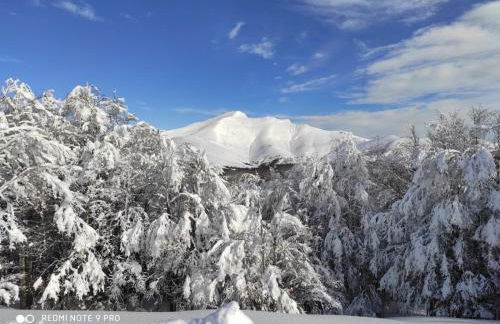 Altxabi Apartamento Rural - Foto 31