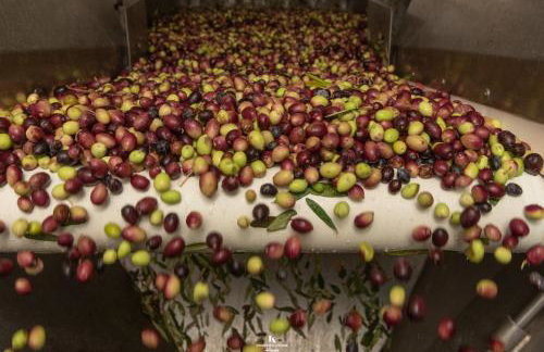 Giannakos Apartments - Foto 44