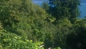 La Camelia d'Oro - Foto 4, Garden, Garden view