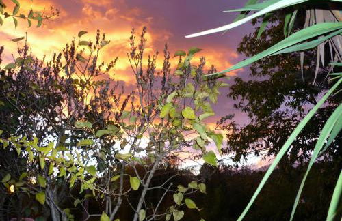 Los Prejones - Photo 34