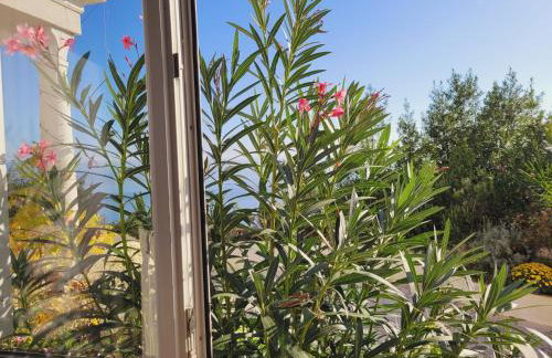 Apartments Chiara mit Meerblick und Pool und Jacuzzi - Foto 62