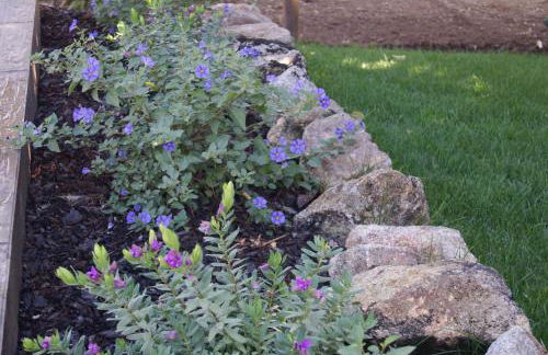 Casa De Santo Antão - Turismo Rural - Foto 19