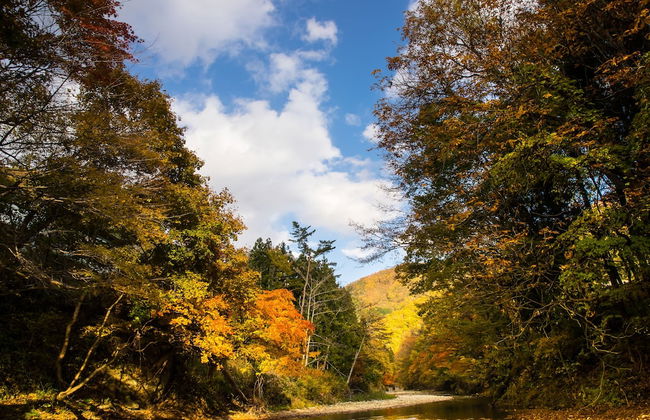 Miyori Furusato Taikenmura - Foto 62