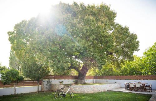 Villa Aggemari - Photo 30