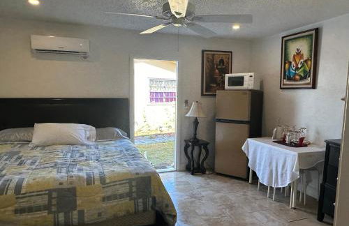 My Garden in Miami Florida - Photo 37