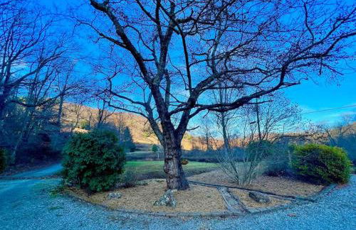 Golden Acres Ranch Hot Tub+Gameroom+Creek & wifi - Foto 40