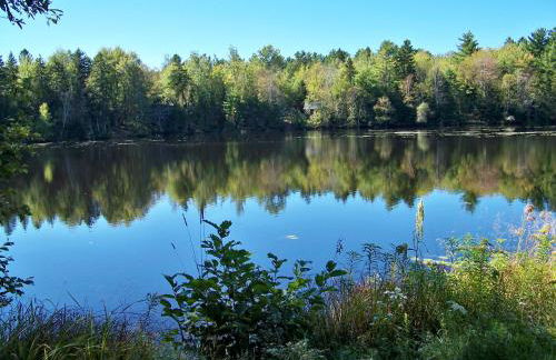 Robinson's Cottages - Foto 16