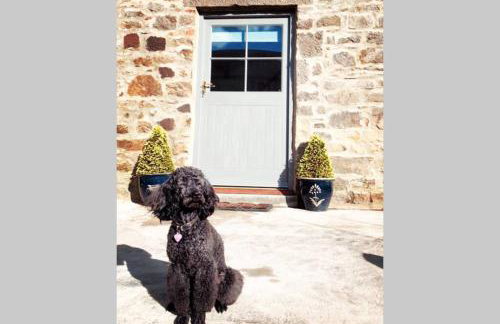 Phil's Cottage Sleeps 2 one dog by prior permission - Photo 24