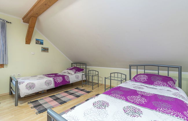 Forge Of Happiness - Foto 2